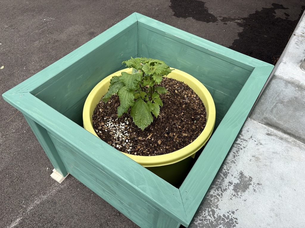 木製プランターの木工DIY3